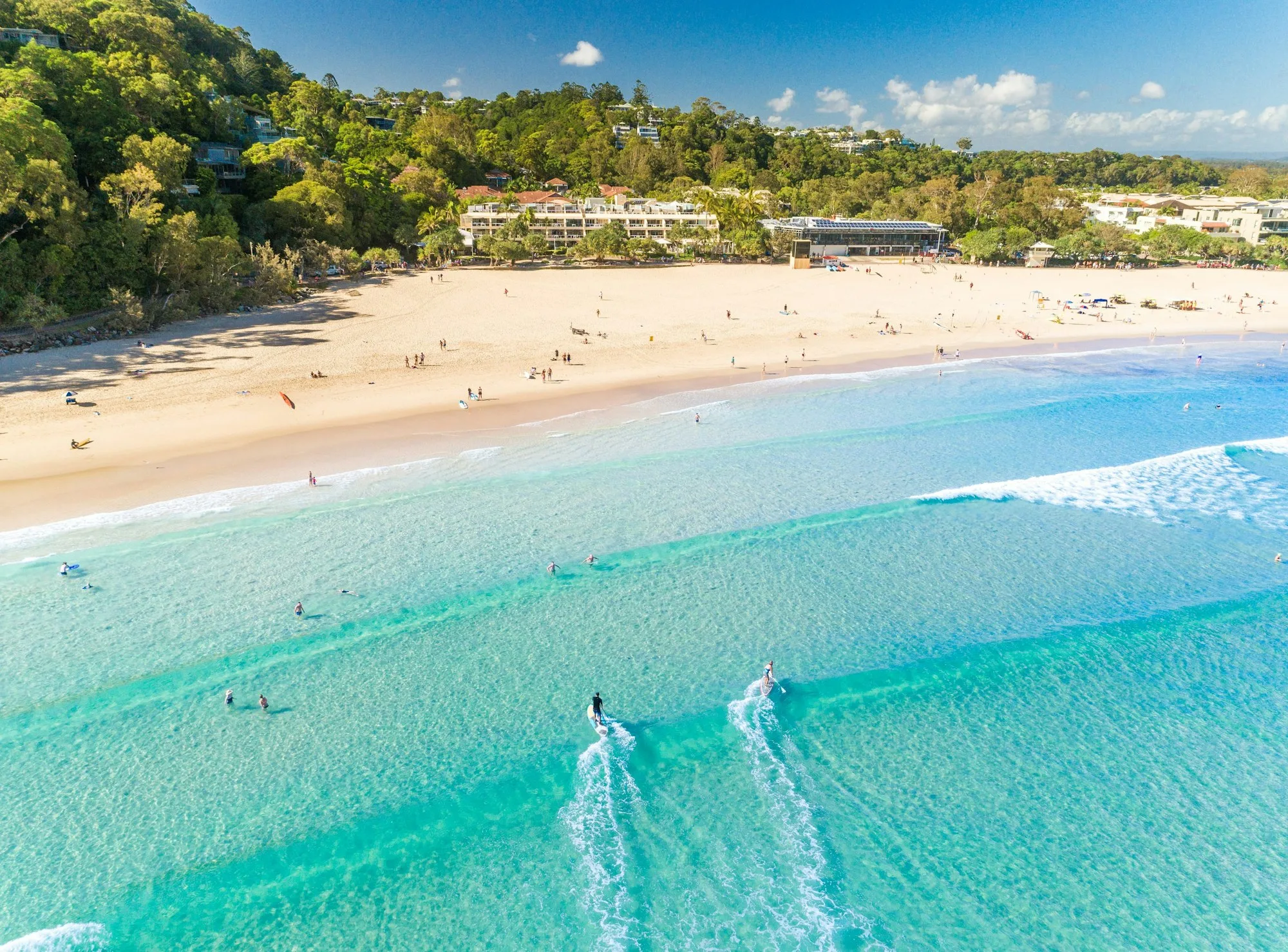 Aerial view of two people paddleboarding over clear turquoise water off a long sandy beach backed by trees